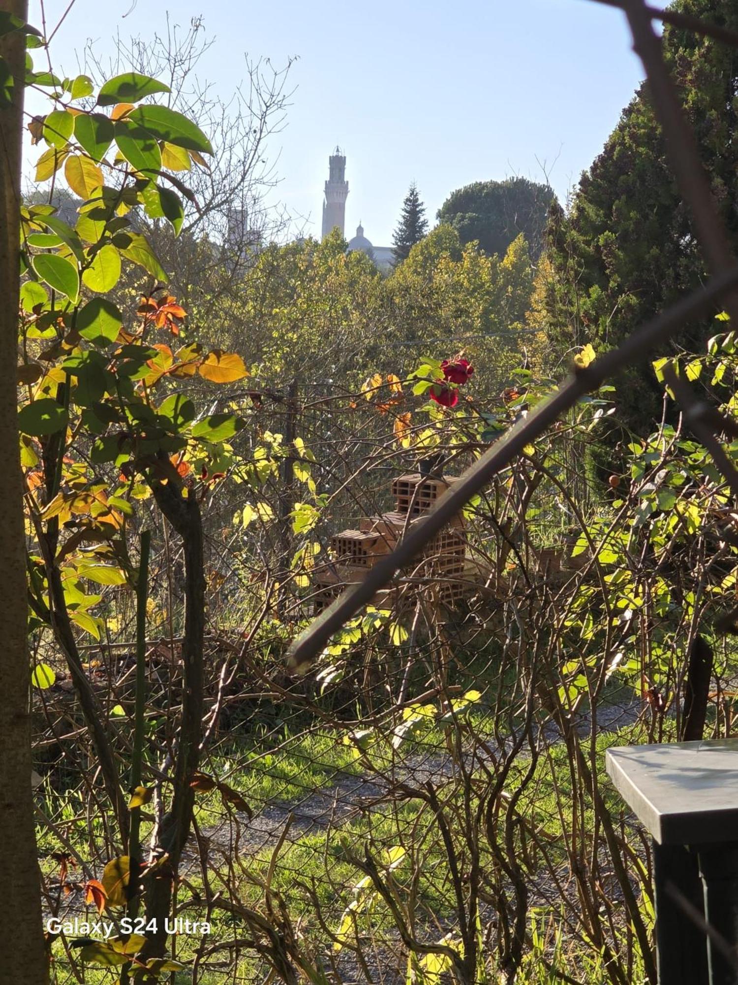Podere Ponticini Siena Exterior photo